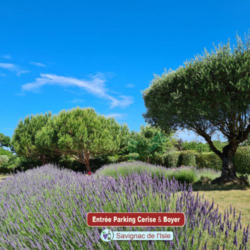 Savignac-de-l'Isle - Entrée Parking Cerise Boyer